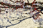 32 FESTIVAL CERVIA 2012 - 013